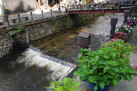 DSC02875.JPG