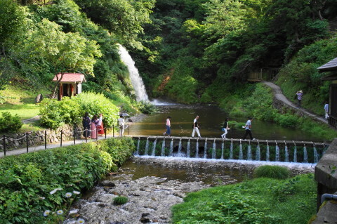 DSC02886.JPG