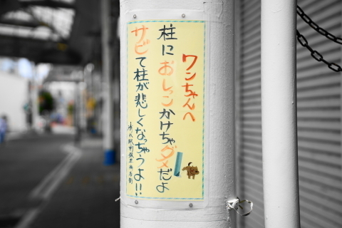 DSC02887.JPG