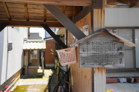DSC02915.JPG