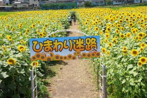 DSC02980.JPG