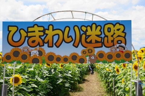 DSC02983.JPG