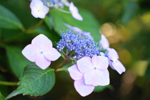 DSC02989.JPG
