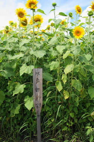DSC02989.JPG