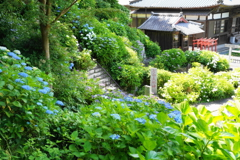 DSC02994.JPG