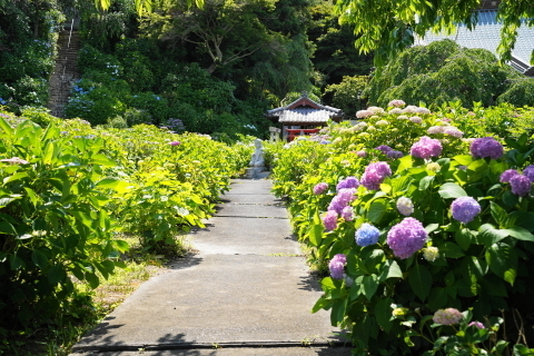 DSC03005.JPG
