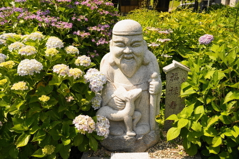 DSC03006.JPG