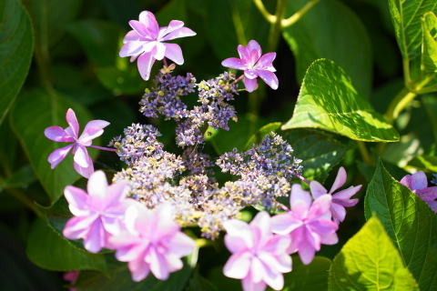 DSC03012.JPG