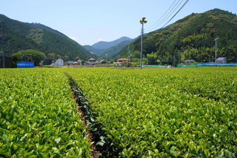 DSC03026.JPG