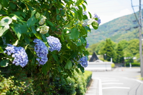 DSC03028.JPG