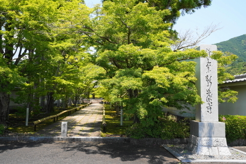DSC03031.JPG