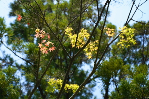 DSC03035.JPG
