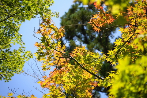 DSC03038.JPG