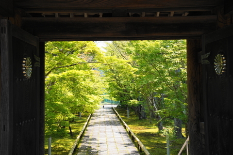 DSC03044.JPG
