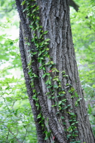 DSC03049N.JPG