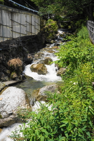 DSC03056.JPG