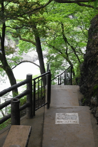 DSC03061N.JPG