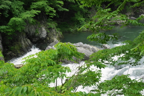 DSC03064N.JPG