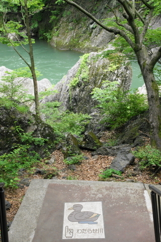 DSC03067N.JPG