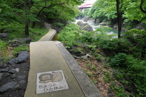 DSC03068N.JPG