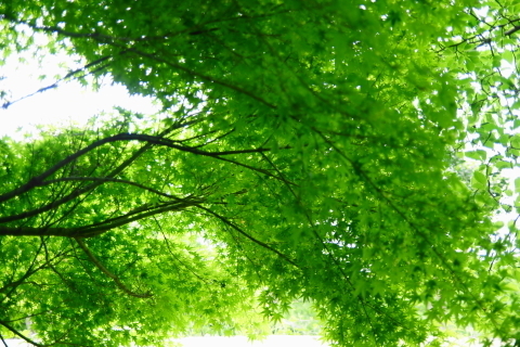 DSC03070N.JPG