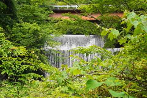 DSC03071.JPG