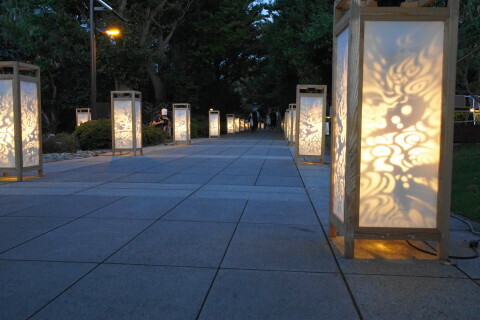 DSC03091.JPG