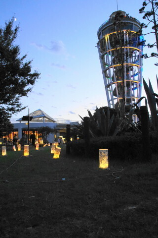 DSC03098.JPG