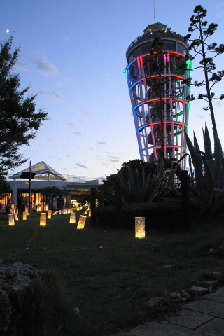 DSC03100.JPG