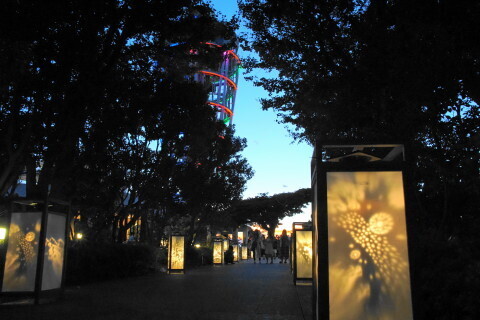 DSC03113.JPG