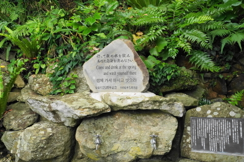 DSC03136.JPG