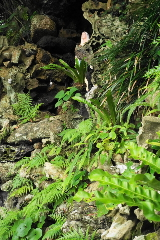 DSC03138.JPG