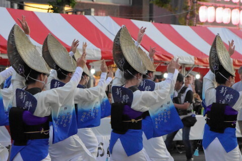 DSC03287.JPG