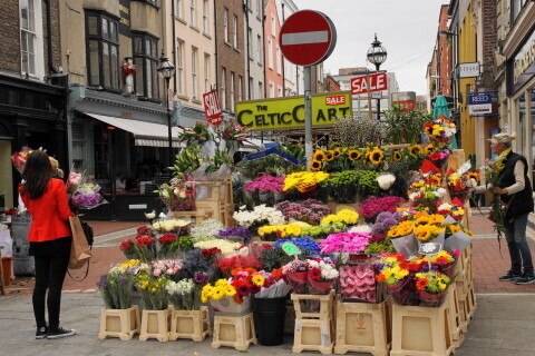 DSC03480.JPG