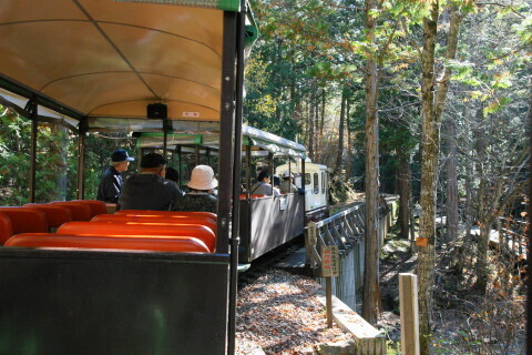DSC03635ND.JPG