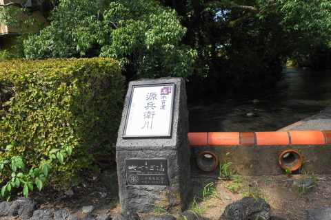 DSC03884.JPG