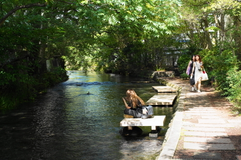 DSC03887.JPG