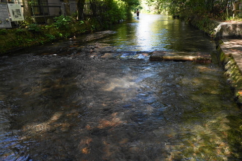 DSC03891.JPG