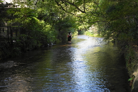 DSC03893.JPG
