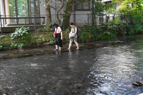 DSC03898.JPG