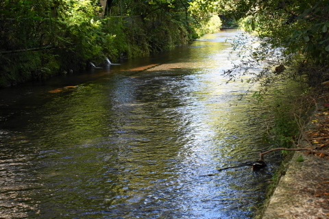 DSC03900.JPG