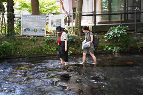 DSC03901.JPG
