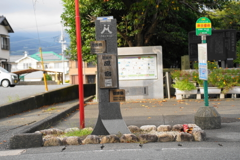 DSC03942.JPG