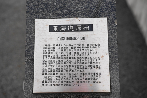 DSC03945.JPG