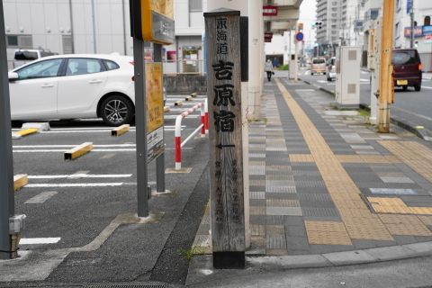 DSC03956.JPG