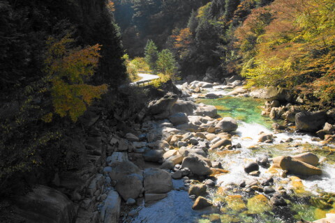 DSC03990ND.JPG