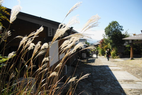 DSC04108ND.JPG