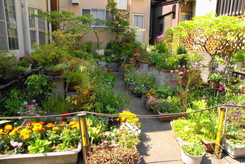 DSC04155.JPG