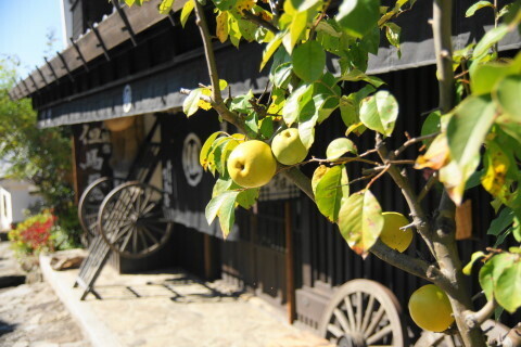 DSC04188ND.JPG