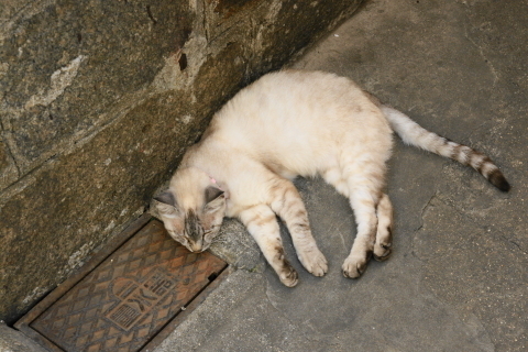 DSC04198NA.JPG
